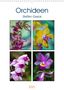 Steffen Gierok: Orchideen (Wandkalender 2021 DIN A3 hoch), Kalender