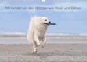Monika Scheurer: Mit Hunden an den Stränden von Nord- und Ostsee (Wandkalender 2021 DIN A3 quer), KAL