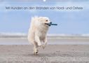 Monika Scheurer: Mit Hunden an den Stränden von Nord- und Ostsee (Wandkalender 2021 DIN A2 quer), KAL