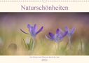 Sabine Böke-Bergau: Naturschönheiten - mit Blüten und Pflanzen durch das Jahr (Wandkalender 2021 DIN A3 quer), Kalender