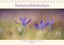 Sabine Böke-Bergau: Naturschönheiten - mit Blüten und Pflanzen durch das Jahr (Tischkalender 2021 DIN A5 quer), Kalender