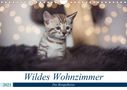 Robyn meets Elos Photography: Wildes Wohnzimmer - Die Bengalkatze (Wandkalender 2021 DIN A4 quer), KAL