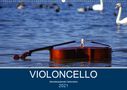 Daniel Hoffmann: VIOLONCELLO - atemberaubende Cellomotive (Wandkalender 2021 DIN A2 quer), KAL