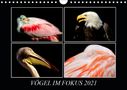©. Mirko Weigt: Vögel im Fokus 2021 (Wandkalender 2021 DIN A4 quer), Kalender
