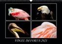 ©. Mirko Weigt: Vögel im Fokus 2021 (Wandkalender 2021 DIN A3 quer), Kalender