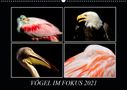 ©. Mirko Weigt: Vögel im Fokus 2021 (Wandkalender 2021 DIN A2 quer), Kalender