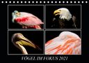 ©. Mirko Weigt: Vögel im Fokus 2021 (Tischkalender 2021 DIN A5 quer), Kalender