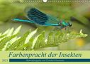 Claudia Kleemann: Farbenpracht der Insekten (Wandkalender 2021 DIN A3 quer), KAL