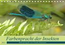 Claudia Kleemann: Farbenpracht der Insekten (Tischkalender 2021 DIN A5 quer), KAL
