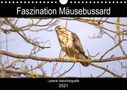 Kevin Andreas Lederle: Faszination Mäusebussard (Wandkalender 2021 DIN A4 quer), KAL