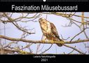 Kevin Andreas Lederle: Faszination Mäusebussard (Wandkalender 2021 DIN A2 quer), KAL