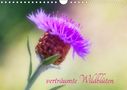 Clemens Stenner: verträumte Wildblüten (Wandkalender 2021 DIN A4 quer), KAL
