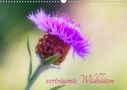 Clemens Stenner: verträumte Wildblüten (Wandkalender 2021 DIN A3 quer), KAL