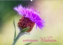 Clemens Stenner: verträumte Wildblüten (Wandkalender 2021 DIN A2 quer), KAL