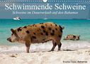 Elisabeth Stanzer: Schwimmende Schweine (Wandkalender 2021 DIN A3 quer), Kalender