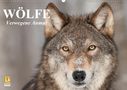 Elisabeth Stanzer: Wölfe. Verwegene Anmut (Wandkalender 2021 DIN A2 quer), Kalender