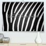 Ingo Gerlach GDT: Emotionale Momente: Zebras - black & white. (Premium, hochwertiger DIN A2 Wandkalender 2021, Kunstdruck in Hochglanz), KAL