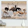 Elisabeth Stanzer: Strauße. Afrikas schöne Laufvögel (Premium, hochwertiger DIN A2 Wandkalender 2021, Kunstdruck in Hochglanz), KAL