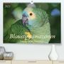 Bettina Schneider: Blaustirnamazonen - Papageien in Paraguay (Premium, hochwertiger DIN A2 Wandkalender 2021, Kunstdruck in Hochglanz), KAL