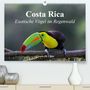 Ursula Di Chito: Costa Rica - Exotische Vögel im Regenwald (Premium, hochwertiger DIN A2 Wandkalender 2021, Kunstdruck in Hochglanz), KAL