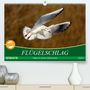 Axel Kottal Claudia Elsner: Flügelschlag - Vögel in ihrem natürlichen Lebensraum (Premium, hochwertiger DIN A2 Wandkalender 2021, Kunstdruck in Hochglanz), KAL