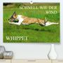 Sigrid Starick: Schnell wie der Wind - Whippet (Premium, hochwertiger DIN A2 Wandkalender 2021, Kunstdruck in Hochglanz), KAL