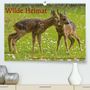 Werner Schmäing: Wilde Heimat (Premium, hochwertiger DIN A2 Wandkalender 2021, Kunstdruck in Hochglanz), KAL