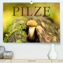 Markus Wuchenauer Pixelrohkost. De: Pilze - fleißige Waldarbeiter (Premium, hochwertiger DIN A2 Wandkalender 2021, Kunstdruck in Hochglanz), Kalender