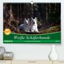 Martina Schikore: Weiße Schäferhunde in schönen Landschaften (Premium, hochwertiger DIN A2 Wandkalender 2021, Kunstdruck in Hochglanz), Kalender