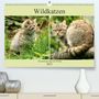 Arno Klatt: Wildkatzen - Die lautlosen Jäger des Waldes (Premium, hochwertiger DIN A2 Wandkalender 2021, Kunstdruck in Hochglanz), KAL