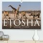 Olaf Bruhn: ETOSHA - Namibia Highlights (Premium, hochwertiger DIN A2 Wandkalender 2021, Kunstdruck in Hochglanz), Kalender