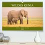 Martina Schikore: Wildes Kenia (Premium, hochwertiger DIN A2 Wandkalender 2021, Kunstdruck in Hochglanz), Kalender