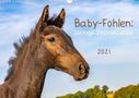 Margret v Conta: Baby-Fohlen: sonnige Impressionen (Wandkalender 2021 DIN A3 quer), KAL