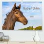 Margret v Conta: Baby-Fohlen: sonnige Impressionen (Premium, hochwertiger DIN A2 Wandkalender 2021, Kunstdruck in Hochglanz), KAL