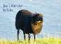 Kattobello: Das Leben der Schafe (Wandkalender 2022 DIN A2 quer), KAL