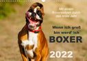 Kerstin Mielke: Wenn ich groß bin werd' ich Boxer (Wandkalender 2022 DIN A3 quer), KAL
