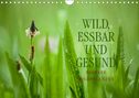 Markus Wuchenauer Pixelrohkost. De: WILD, ESSBAR UND GESUND Essbare Wildpflanzen (Wandkalender 2022 DIN A4 quer), KAL