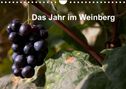 Frank Baumert: Das Jahr im Weinberg (Wandkalender 2022 DIN A4 quer), Kalender