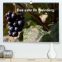 Frank Baumert: Das Jahr im Weinberg (Premium, hochwertiger DIN A2 Wandkalender 2022, Kunstdruck in Hochglanz), Kalender
