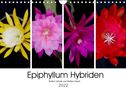 Steffen Gierok: Epiphyllum-Hybriden (Wandkalender 2022 DIN A4 quer), KAL