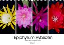 Steffen Gierok: Epiphyllum-Hybriden (Wandkalender 2022 DIN A3 quer), KAL