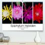 Steffen Gierok: Epiphyllum-Hybriden (Premium, hochwertiger DIN A2 Wandkalender 2022, Kunstdruck in Hochglanz), KAL