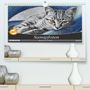 Uschi Felix: Samtpfoten - Katzen in Pastell (Premium, hochwertiger DIN A2 Wandkalender 2022, Kunstdruck in Hochglanz), Kalender