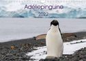 Anna-Barbara Utelli: Adéliepinguine (Wandkalender 2022 DIN A4 quer), KAL