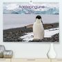 Anna-Barbara Utelli: Adéliepinguine (Premium, hochwertiger DIN A2 Wandkalender 2022, Kunstdruck in Hochglanz), KAL