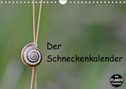 Christine Schmutzler-Schaub: Der Schneckenkalender (Wandkalender 2022 DIN A4 quer), KAL