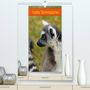 Kattobello: Katta Terminplaner (Premium, hochwertiger DIN A2 Wandkalender 2022, Kunstdruck in Hochglanz), KAL