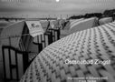 Frank Becker: Ostseebad Zingst - Impressionen in Schwarz-Weiß (Wandkalender 2022 DIN A2 quer), KAL