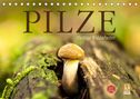 Markus Wuchenauer Pixelrohkost. De: Pilze - fleißige Waldarbeiter (Tischkalender 2022 DIN A5 quer), Kalender