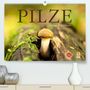 Markus Wuchenauer Pixelrohkost. De: Pilze - fleißige Waldarbeiter (Premium, hochwertiger DIN A2 Wandkalender 2022, Kunstdruck in Hochglanz), Kalender